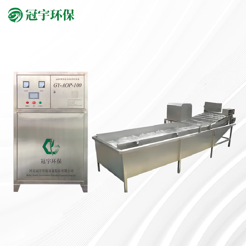 臭氧高级氧化-果蔬解毒清洗机