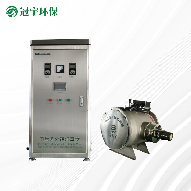 种植中压紫外线消毒器2kw